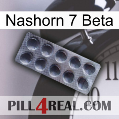 Rhino 7 Beta 30
